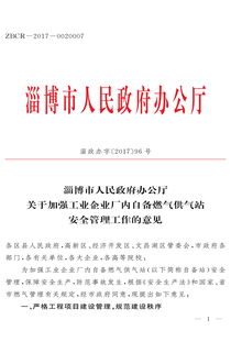 市政府办公厅 关于加强工业企业厂内自备燃气供气站安全管理工作的意见